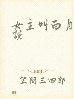 女主叫白月的小说