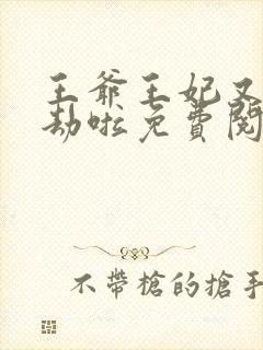 王爷王妃又去打劫啦免费阅读