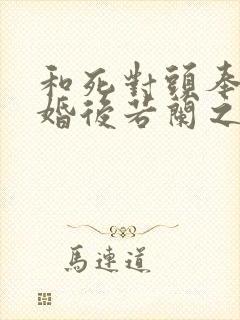 和死对头奉旨成婚后若兰之华笔趣阁