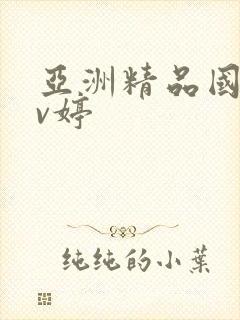 亚洲精品国产av婷