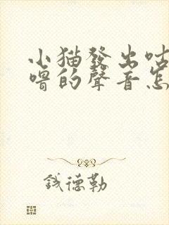 小猫发出咕噜咕噜的声音怎么回事