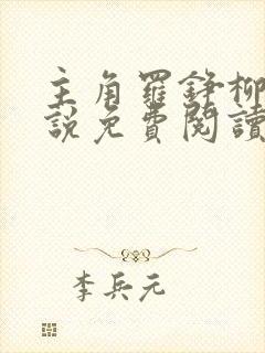 主角罗铮柳叶小说免费阅读封面