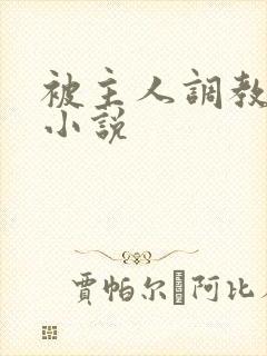 被主人调教惩罚小说