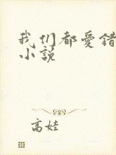 我们都爱错了人小说封面