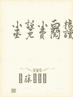 小说小白杨水千丞免费阅读