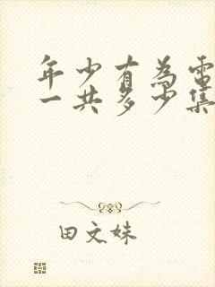 年少有为电视剧一共多少集