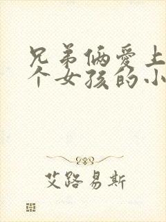 兄弟俩爱上同一个女孩的小说