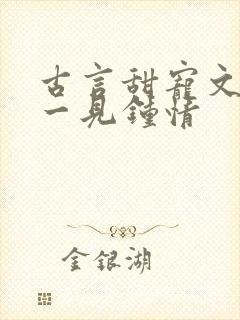 古言甜宠文帝王一见钟情