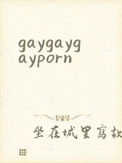 gaygaygayporn封面