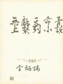 无敌天命青鸾峰上系列小说