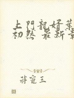 上门龙婿叶辰萧初然 最新章节