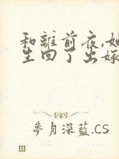 和离前夜,她重生回了出嫁前》