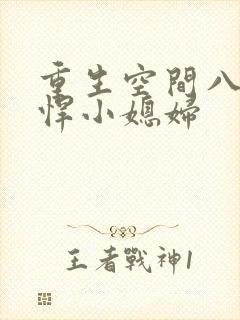 重生空间八零彪悍小媳妇