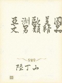 亚洲欧美国产中文另类精品