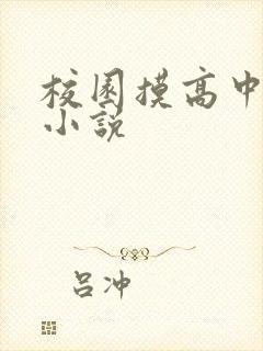 校园摸高中女胸小说封面