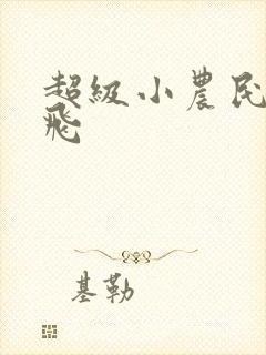 超级小农民王小飞