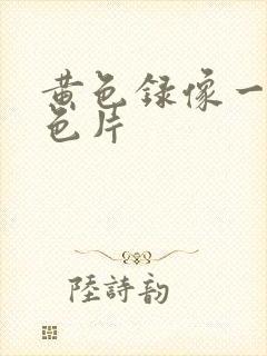 黄色录像一级黄色片