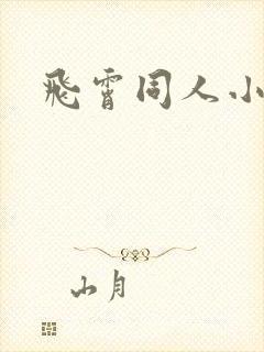 飞霄同人小说封面