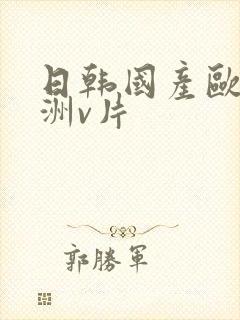 日韩国产欧美亚洲v片