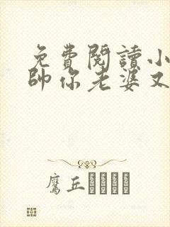 免费阅读小说少帅你老婆又跑了全文封面