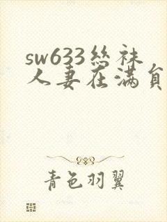 sw633丝袜人妻在满员巴士痴汉电车