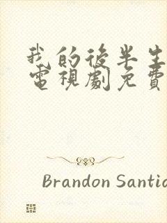 我的后半生在线电视剧免费观看封面