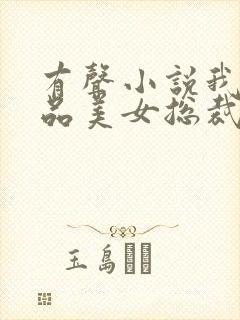 有声小说我的极品美女总裁