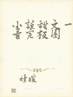 小说甜文一口气看完校园