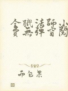 全职法师小说免费无弹窗阅读封面