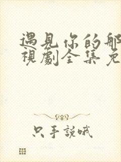 遇见你的那天电视剧全集免费观看封面