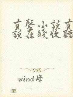 有声小说有声小说在线收听免费