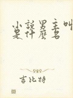 小说男主叫顾远是什么名