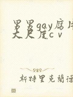 男男gay腐片大尺度cⅴ