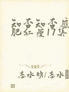 知否知否应是绿肥红瘦17集