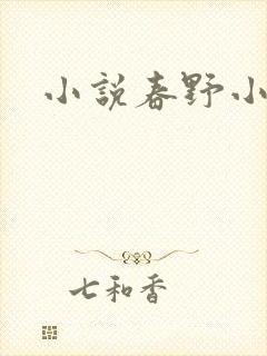 小说春野小农民封面