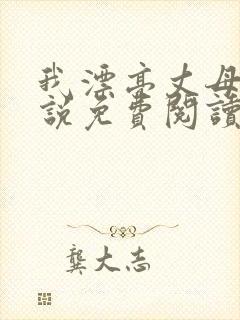 我漂亮丈母娘小说免费阅读