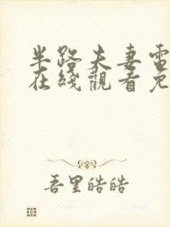 半路夫妻电视剧在线观看免费高清封面