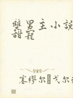 双男主小说推荐甜宠