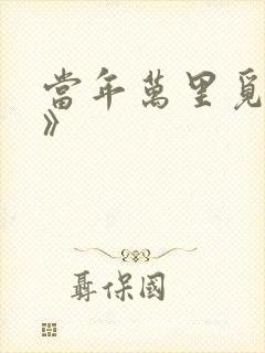 当年万里觅封侯》