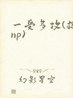 一受多攻(总受np)