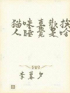 猫咪喜欢挨着主人睡觉是啥原因封面