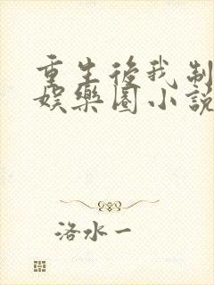 重生后我制霸了娱乐圈小说封面