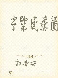 少帅你老婆又跑了第几集圆房