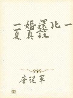 一婚还比一婚高夏真钰封面