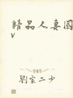 精品人妻国产av