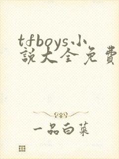 tfboys小说大全免费的小说