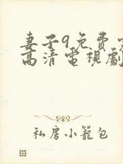 妻子9免费完整高清电视剧在线观看