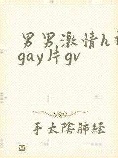 男男激情h视频gay片gv