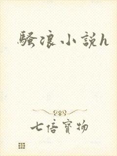 骚浪小说h