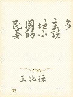 民国地主多妻多妾的小说